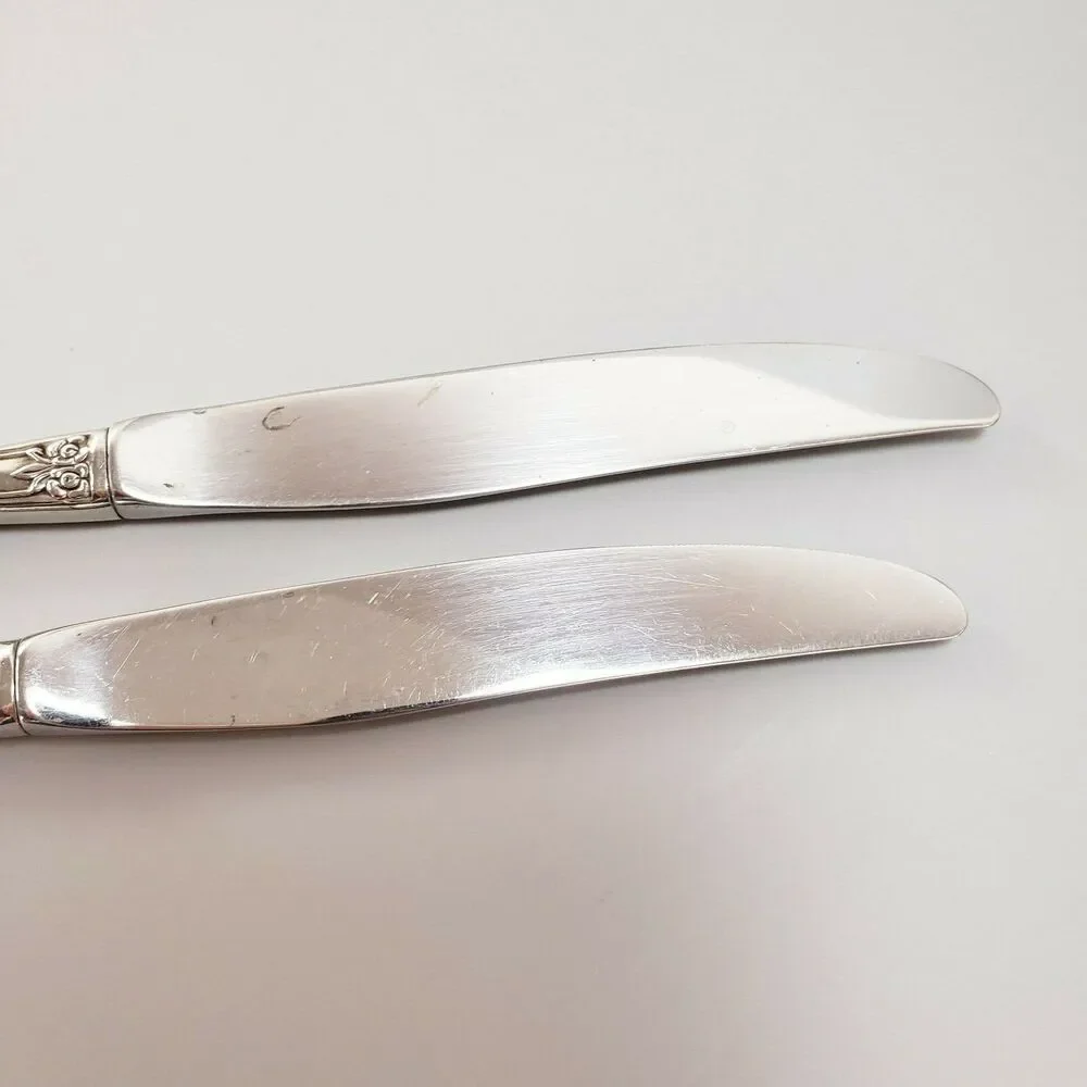 SSS Oneida Pembrooke Renoir 2 Dinner Butter Knives Stainless Silverware Flatware
